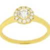 Complete Rings 14kt Yellow Gold Solitaire Engagement Ring With A Diamond Halo