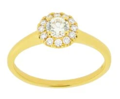 Complete Rings 14kt Yellow Gold Solitaire Engagement Ring With A Diamond Halo